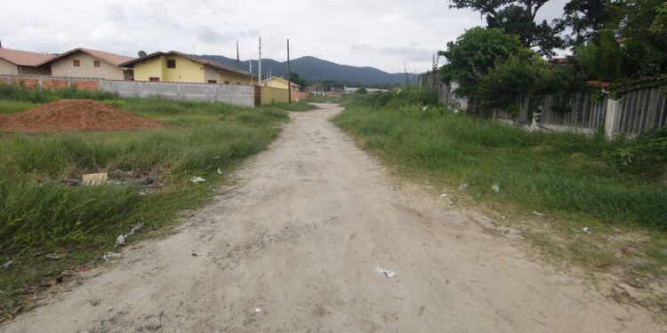 Corpos são encontrados com sinais de violência em região de mangue em SP